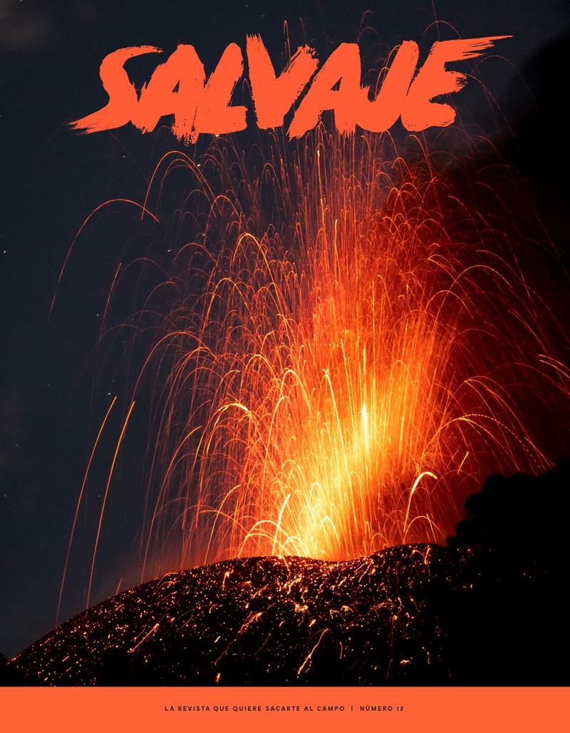 REVISTA SALVAJE 12: portada