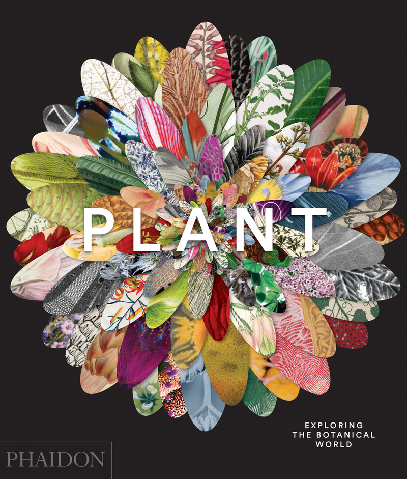 Plant: portada