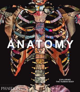 ANATOMY - EXPLORING THE HUMAN BODY: portada