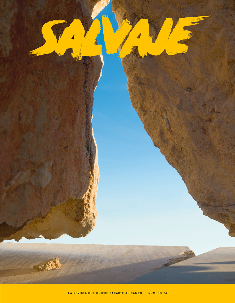 REVISTA SALVAJE 24: portada