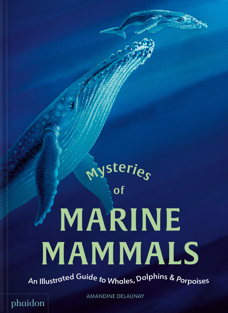 Mysteries of Marine Mammals: portada