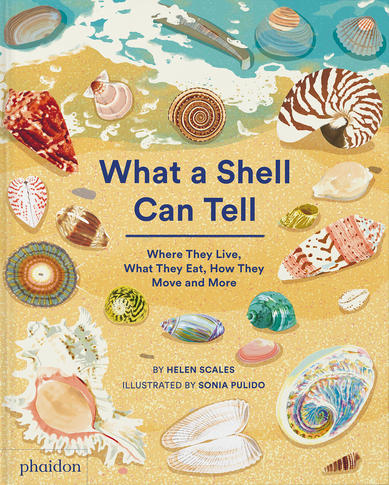 What a Shell Can Tell: portada