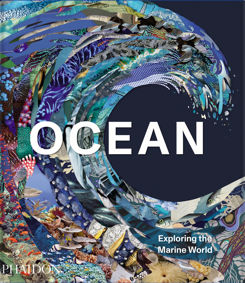 Ocean: portada