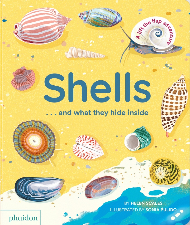 Shells…and What they hide Inside: portada