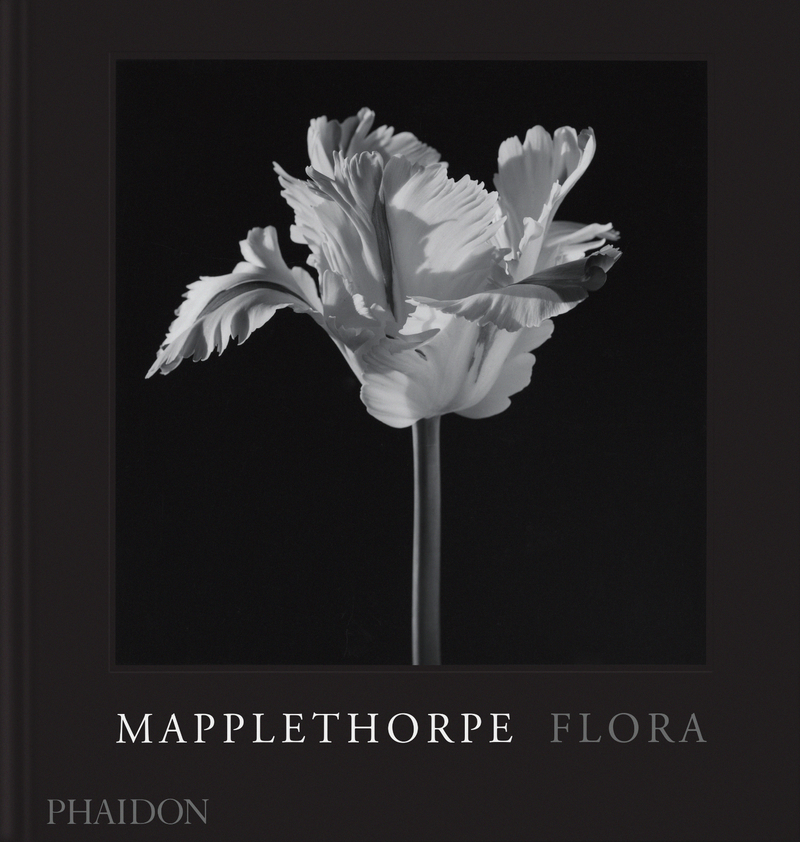 Mapplethorpe Flora: portada