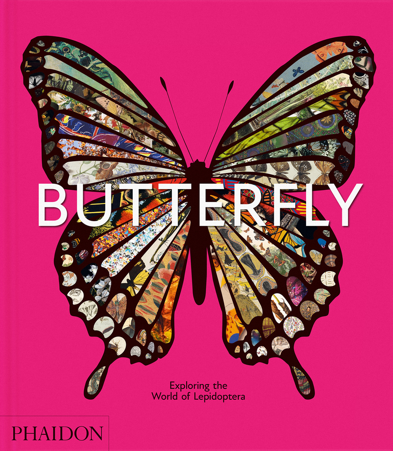 Butterfly: portada