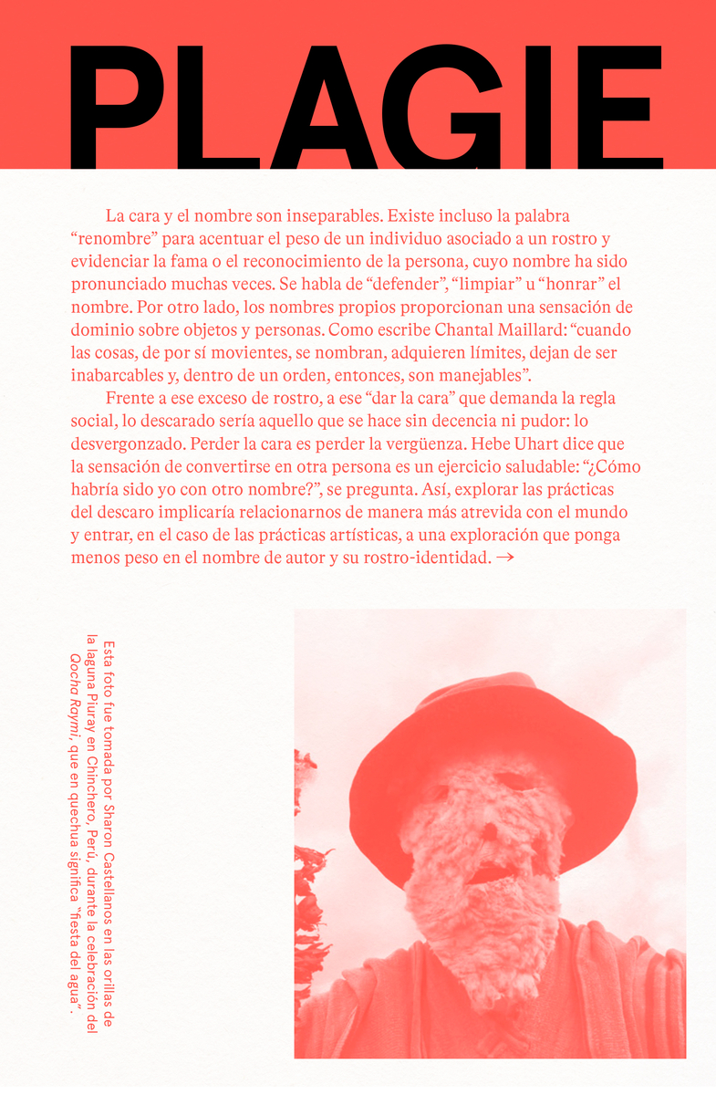 Plagie, copie, manipule, robe, reescriba este libro: portada