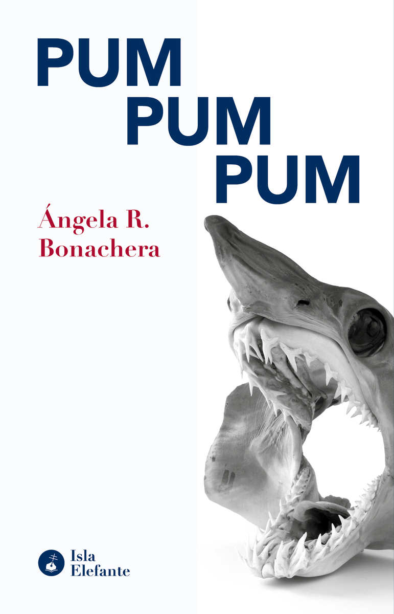 pum pum pum: portada