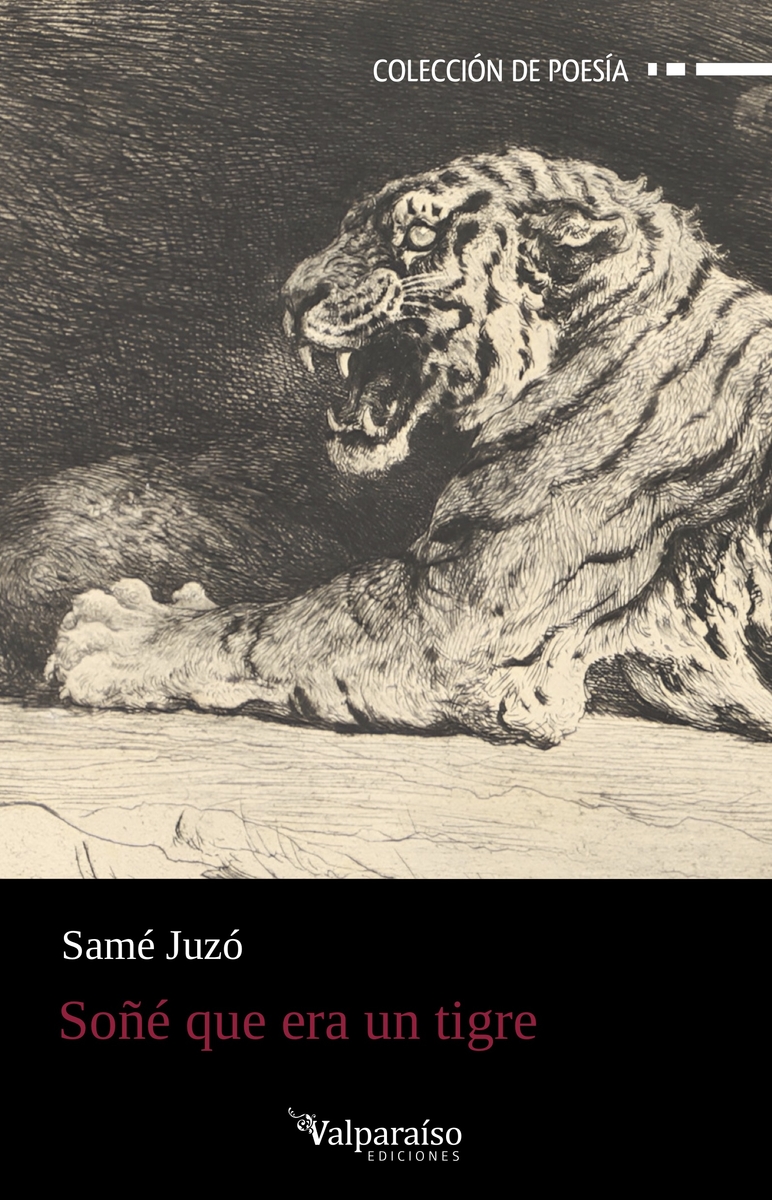 Soñé que era un tigre: portada