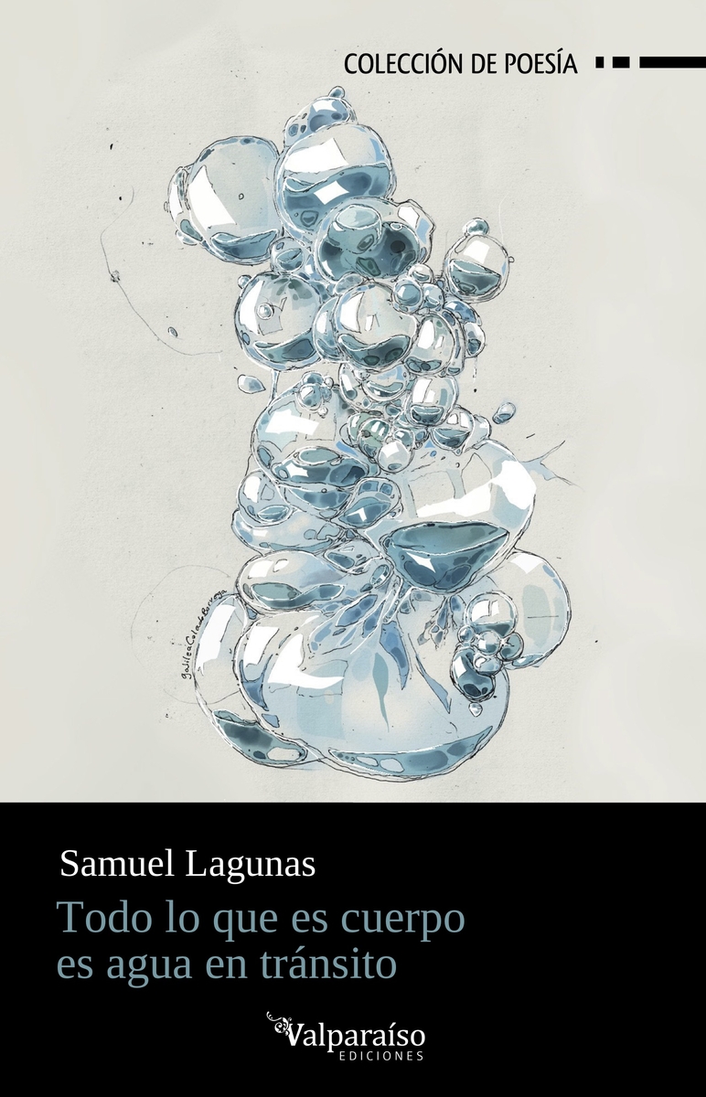 Todo lo que es cuerpo es agua en tránsito: portada