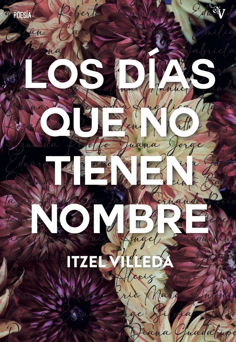 Los días que no tienen nombre: portada