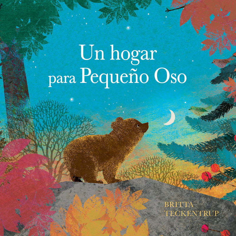 Un hogar para Pequeño Oso: portada