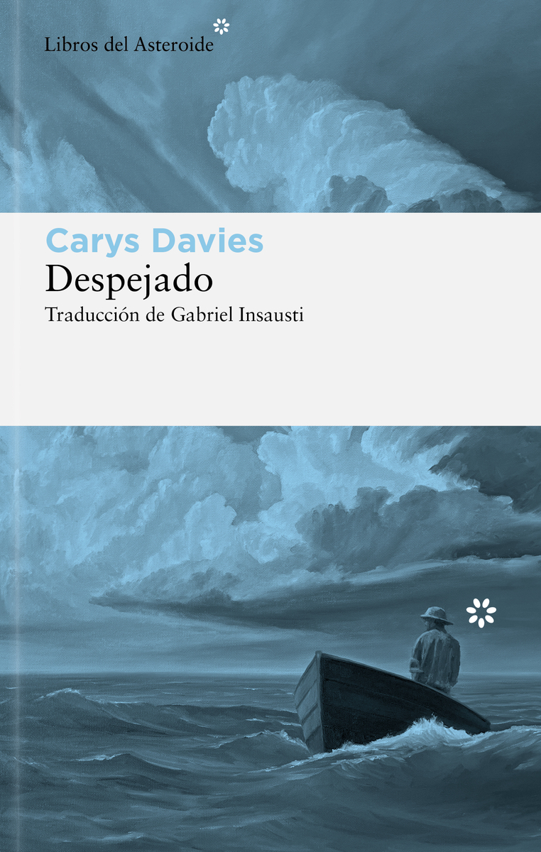 Despejado (2ªED): portada