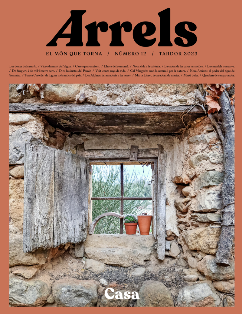 ARRELS #12: portada