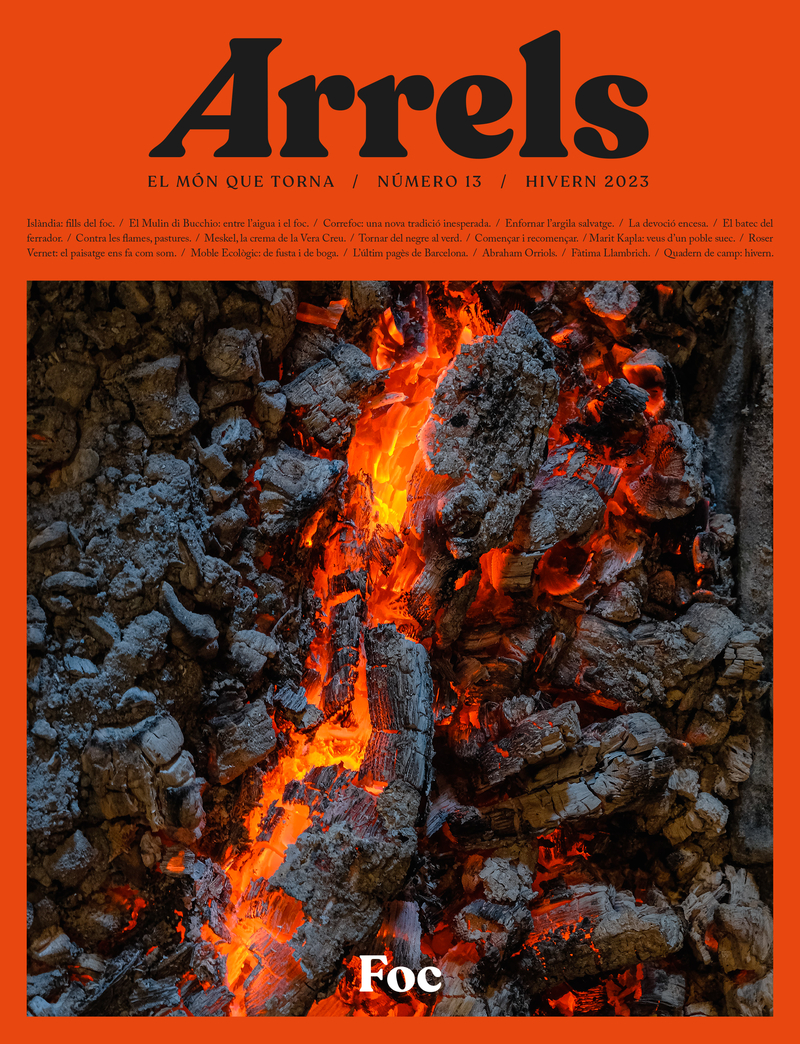 ARRELS #13: portada