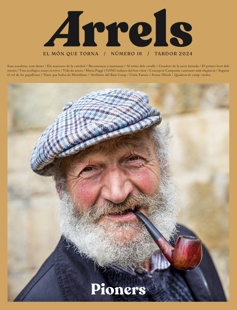 ARRELS #16: portada