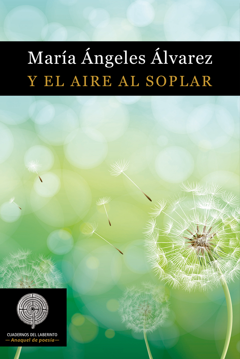 Y el aire al soplar: portada