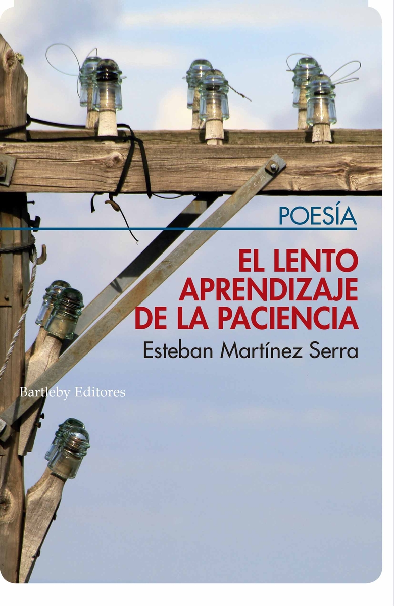 El lento aprendizaje de la paciencia: portada