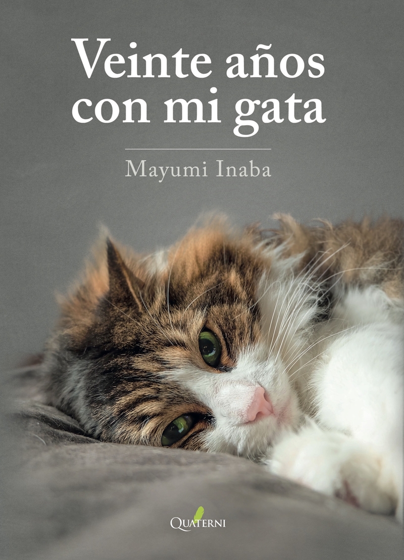 VEINTE AOS CON MI GATA: portada