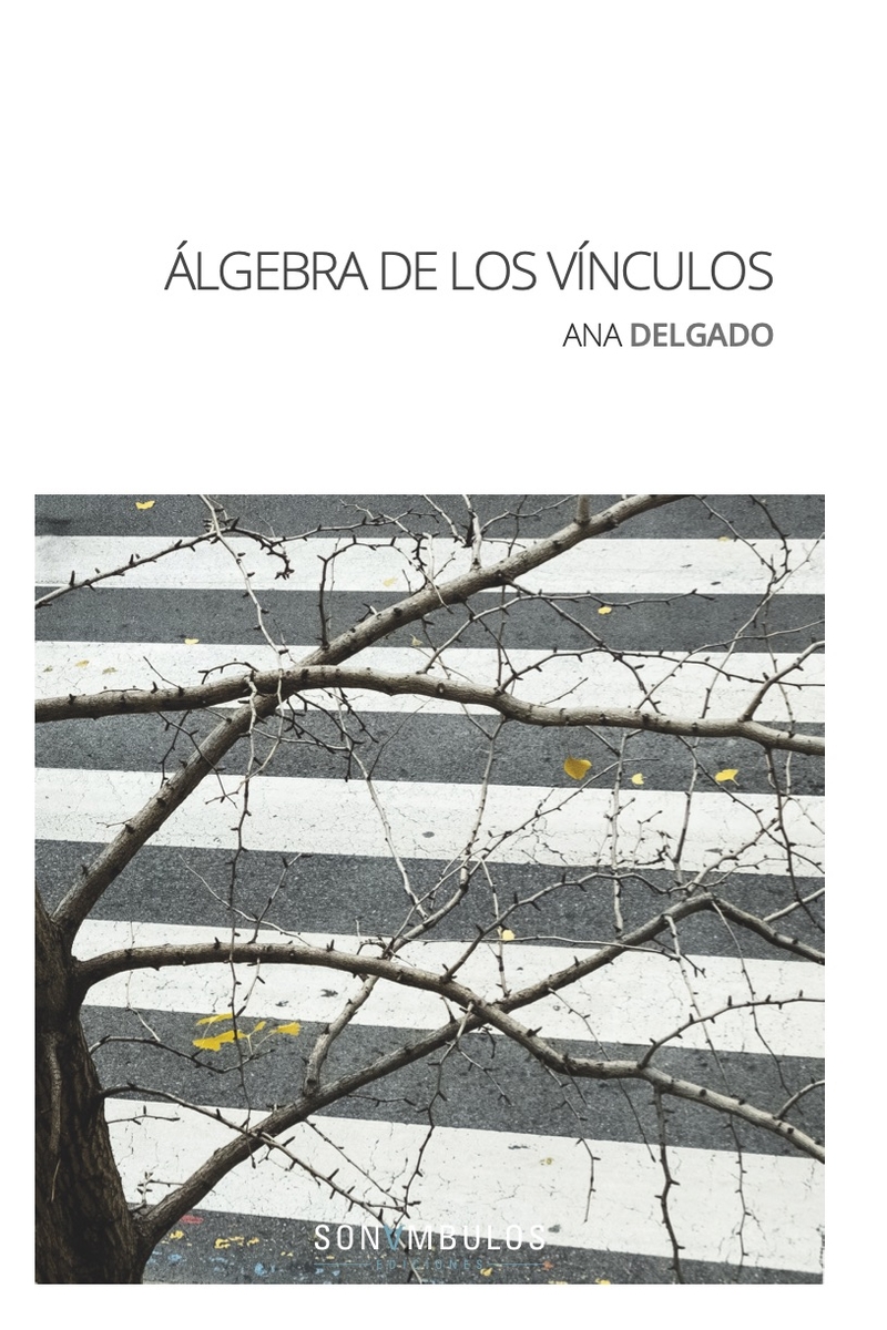 ÁLGEBRA DE LOS VÍNCULOS: portada