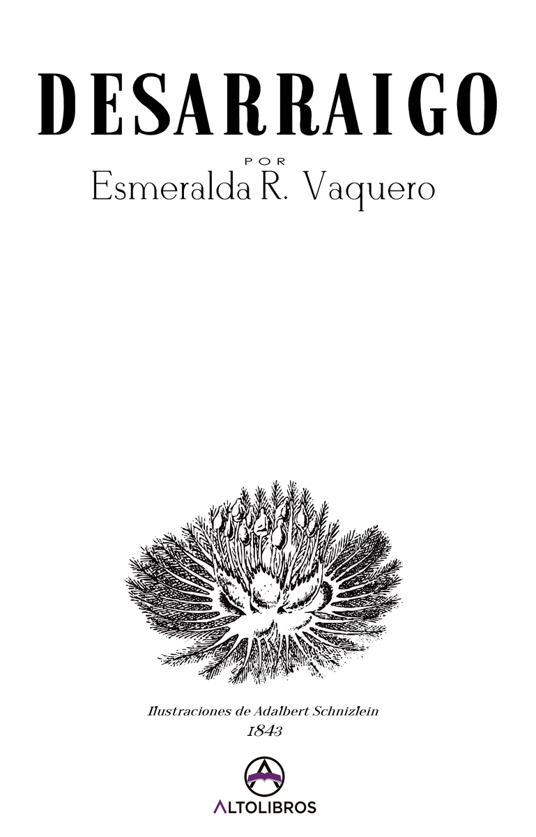Desarraigo: portada