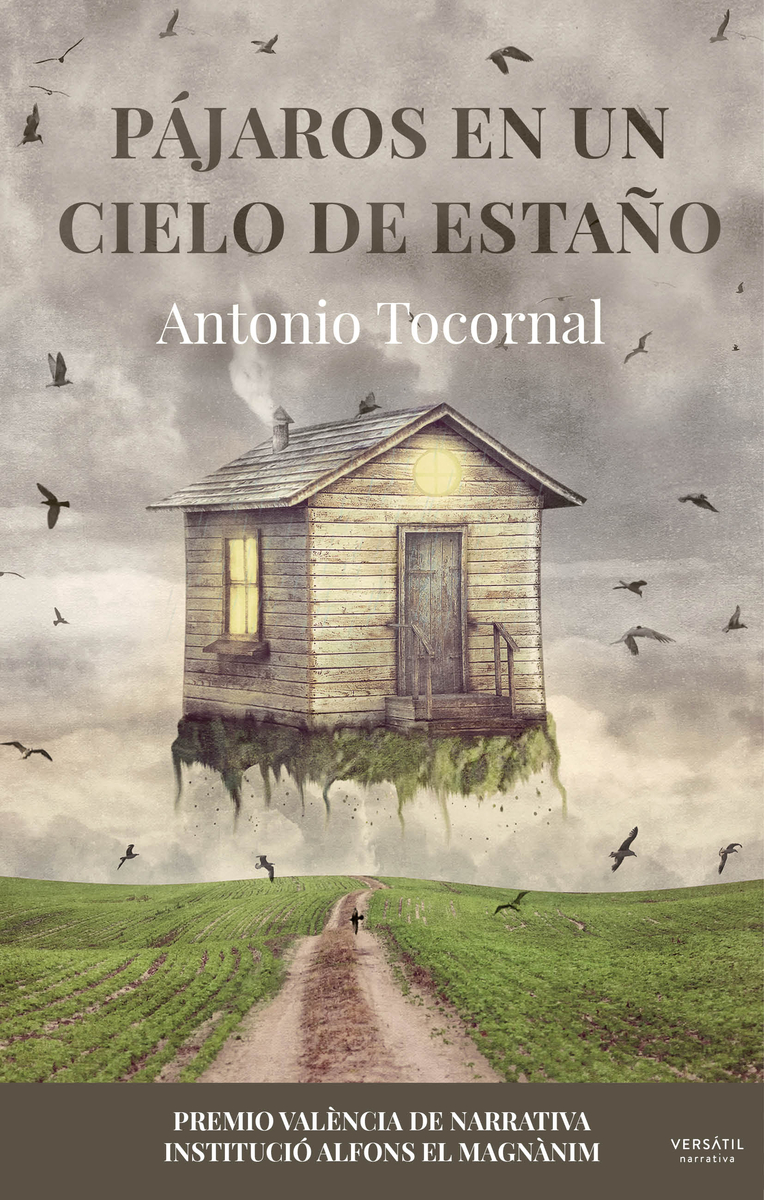 Pájaros en un cielo de estaño: portada