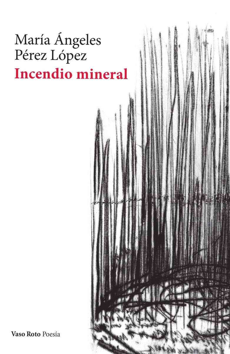 Incendio mineral (2 ED): portada