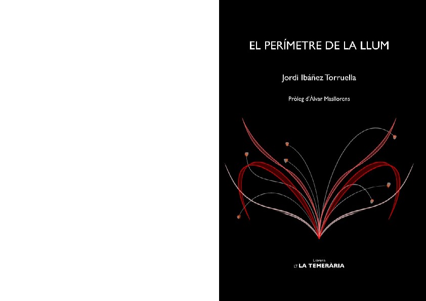 El perímetre de la llum: portada
