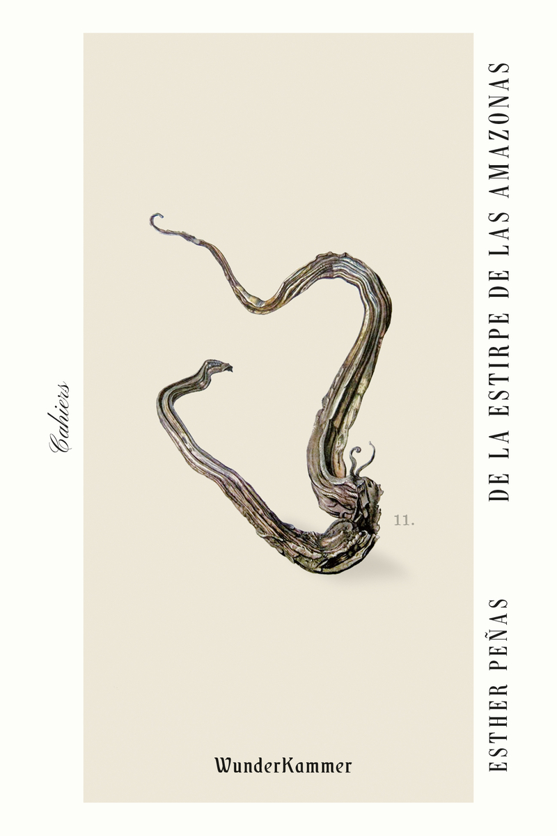 De la estirpe de las amazonas (2ªED): portada