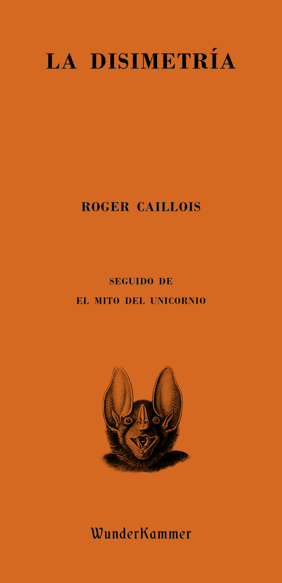 La disimetría: portada