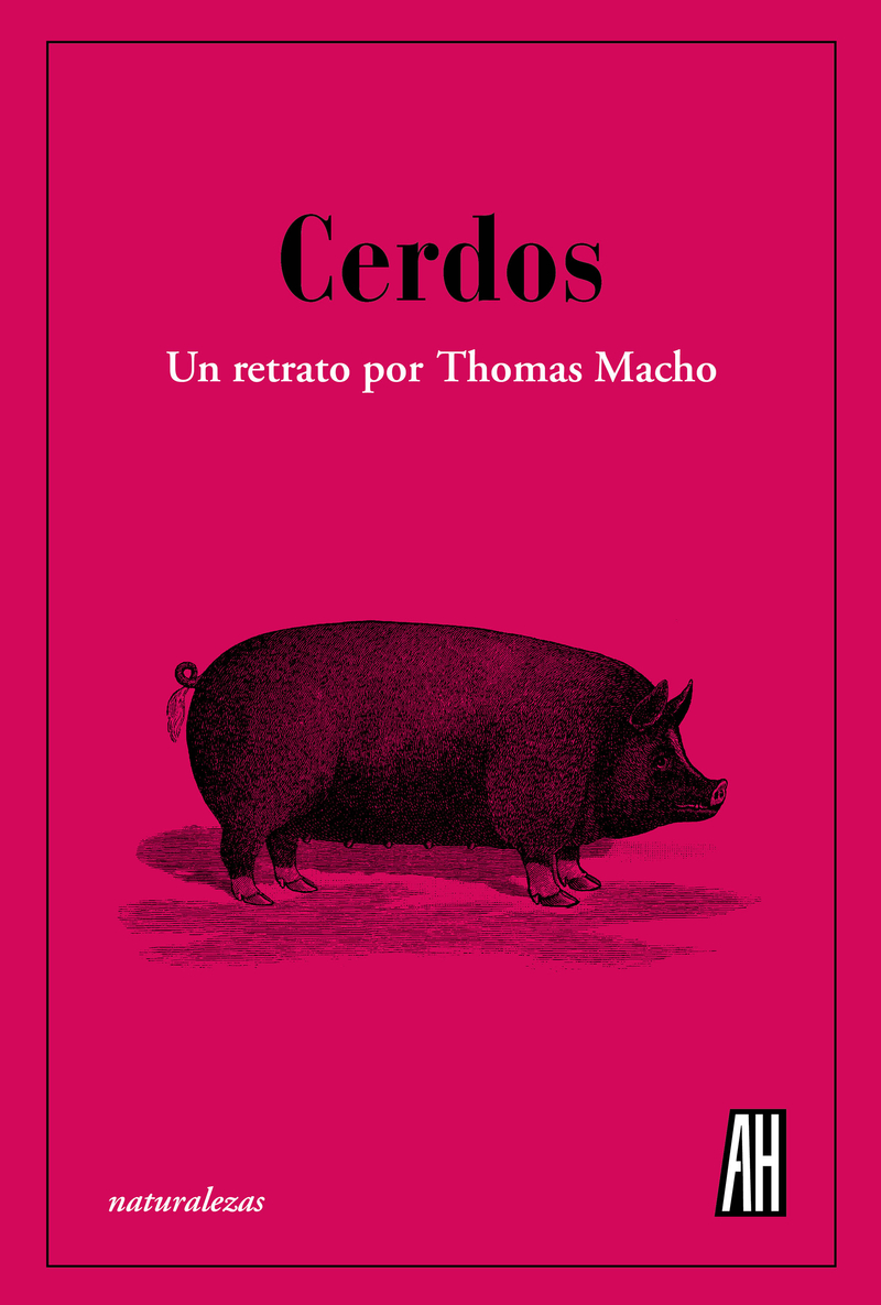 Cerdos: portada