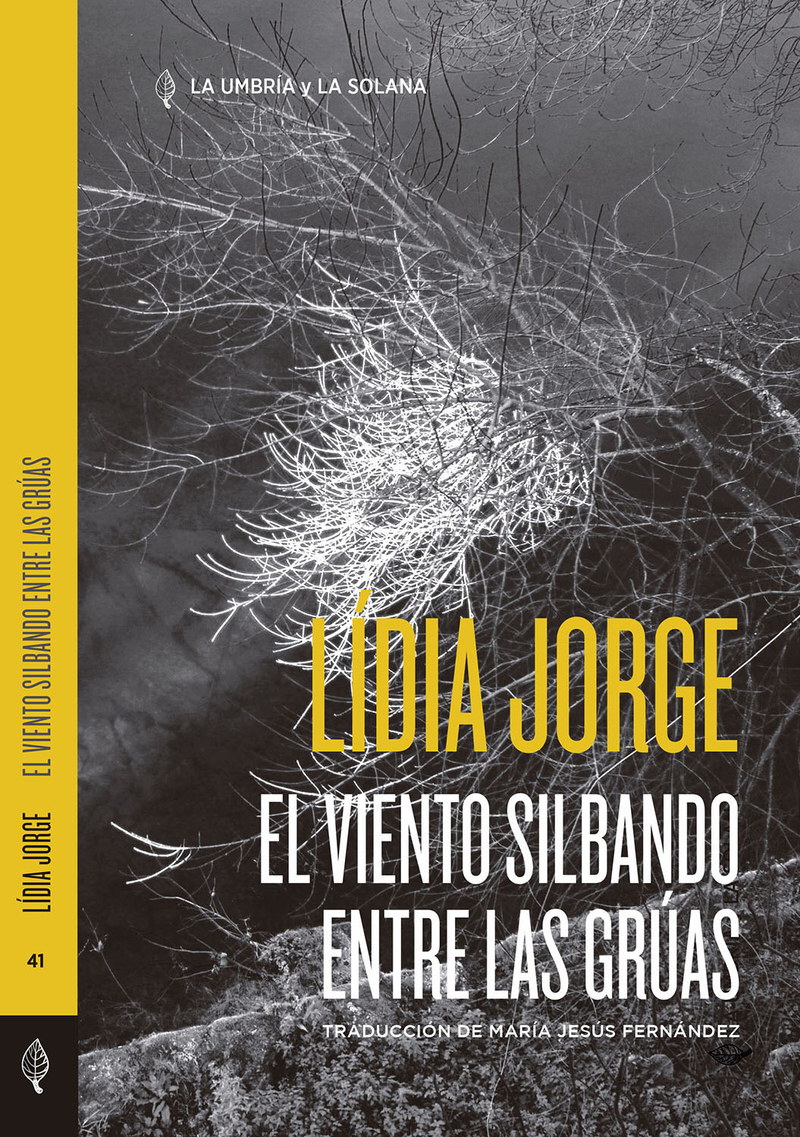 EL VIENTO SILBANDO ENTRE LAS GRÚAS: portada