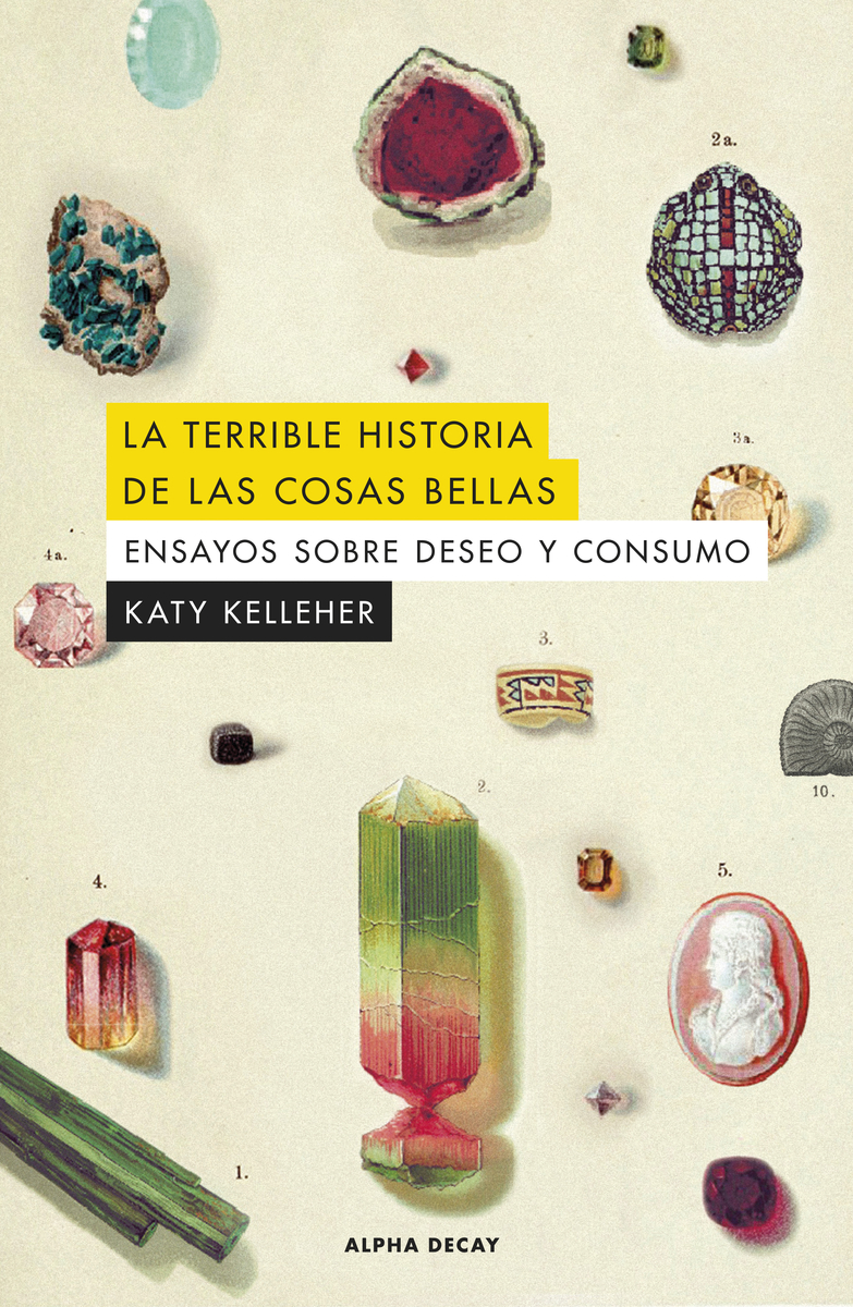 La terrible historia de las cosas bellas: portada