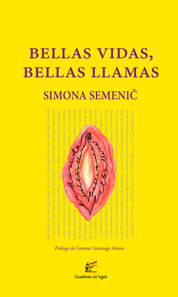 Bellas vidas, bellas llamas: portada