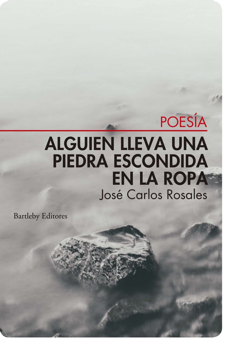 titulo del libro