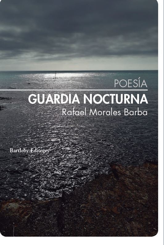 Guardia nocturna: portada