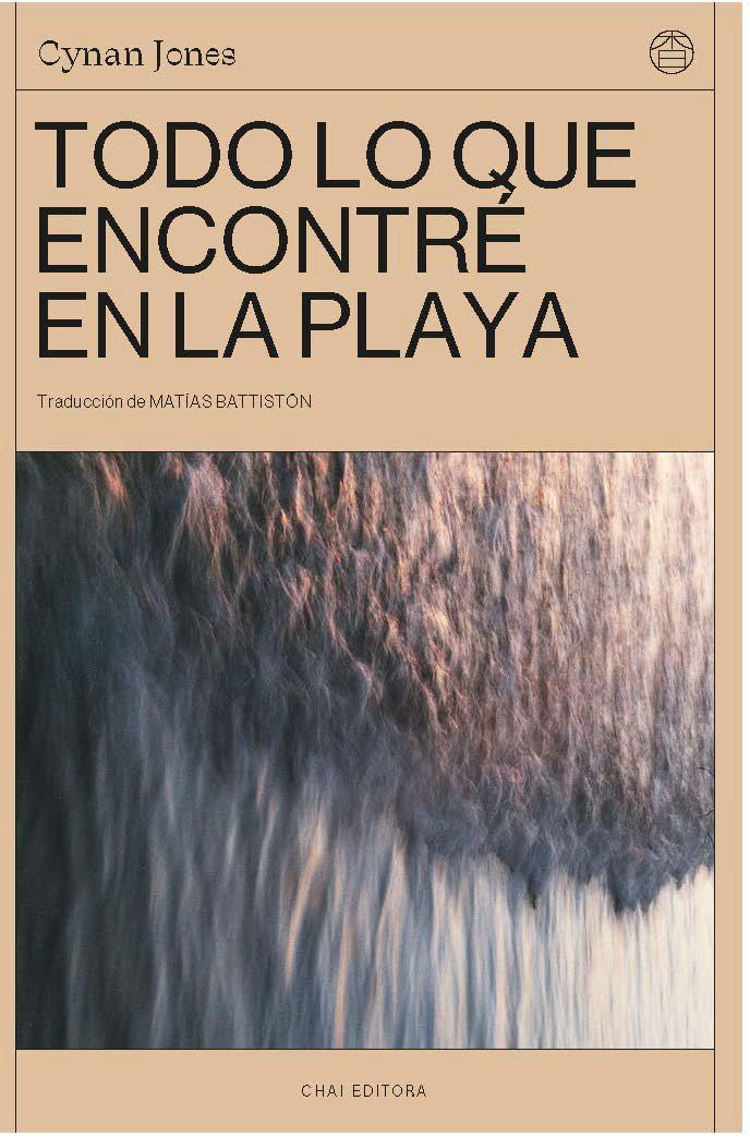Todo lo que encontré en la playa: portada