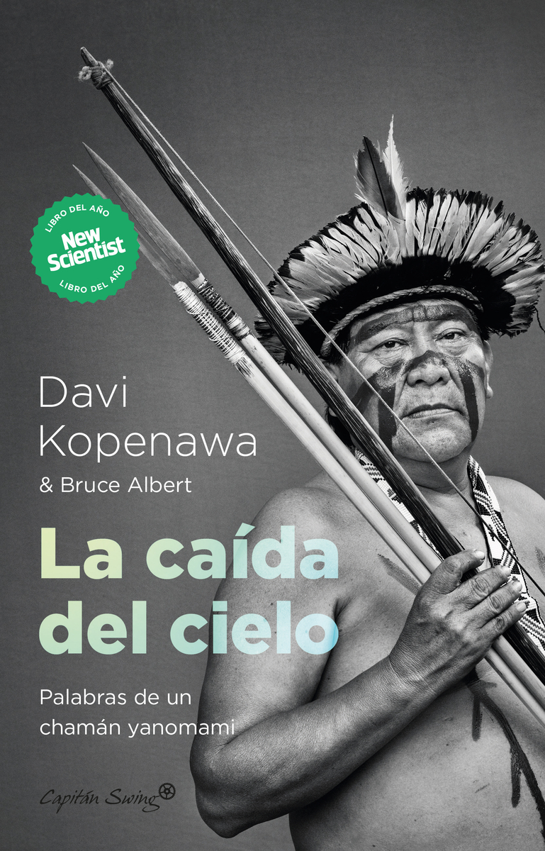 La caída del cielo: portada