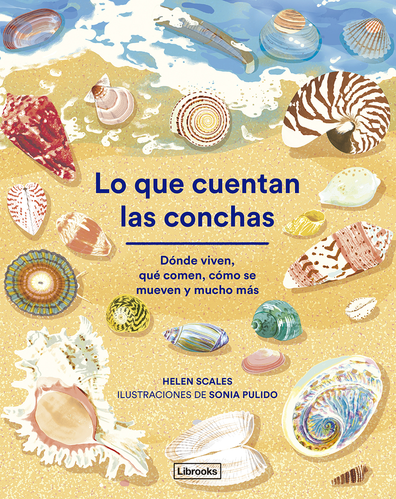 LO QUE CUENTAN LAS CONCHAS: portada