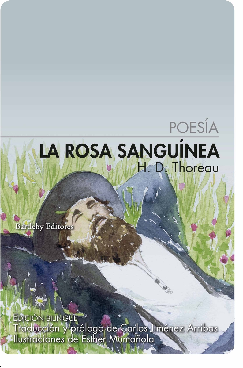 La rosa sanguínea: portada