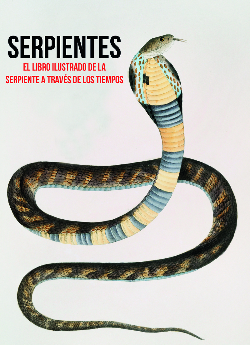 SERPIENTES: portada