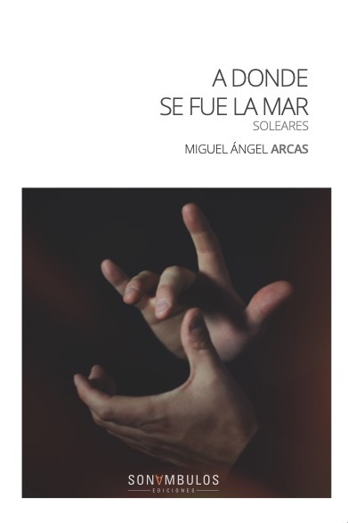 A DONDE SE FUE LA MAR: portada
