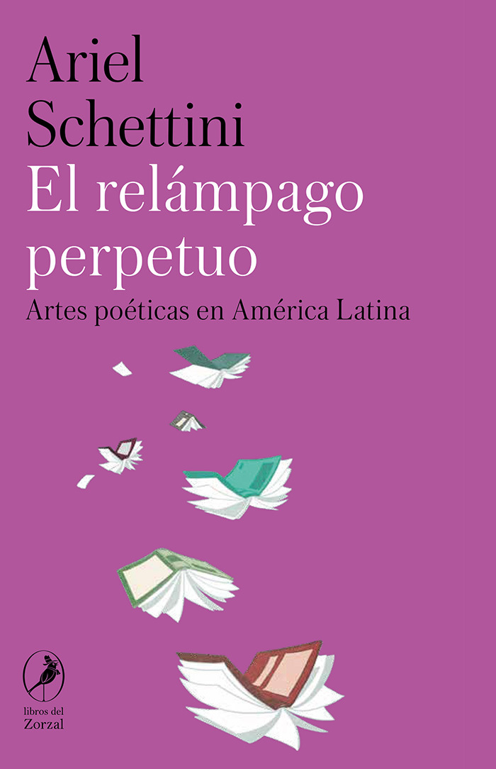 El relámpago perpetuo: portada