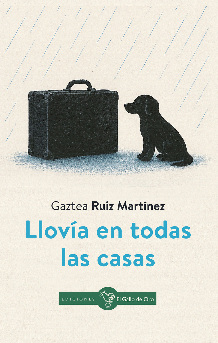 LLOVÍA EN TODAS LAS CASAS: portada