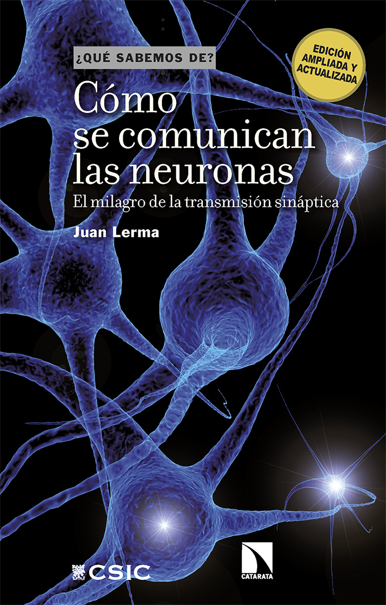 Cómo se comunican las neuronas: portada