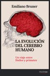 La evolución del cerebro humano: portada