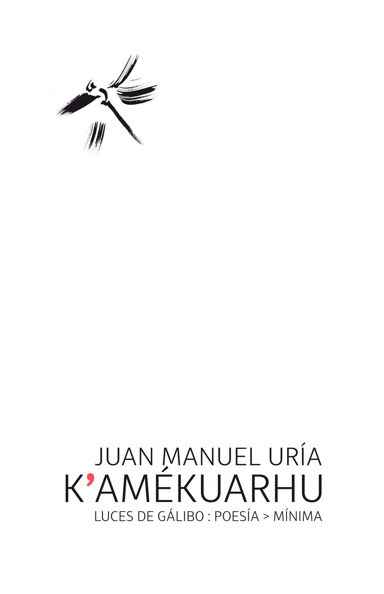 K'amérkuarhu: portada