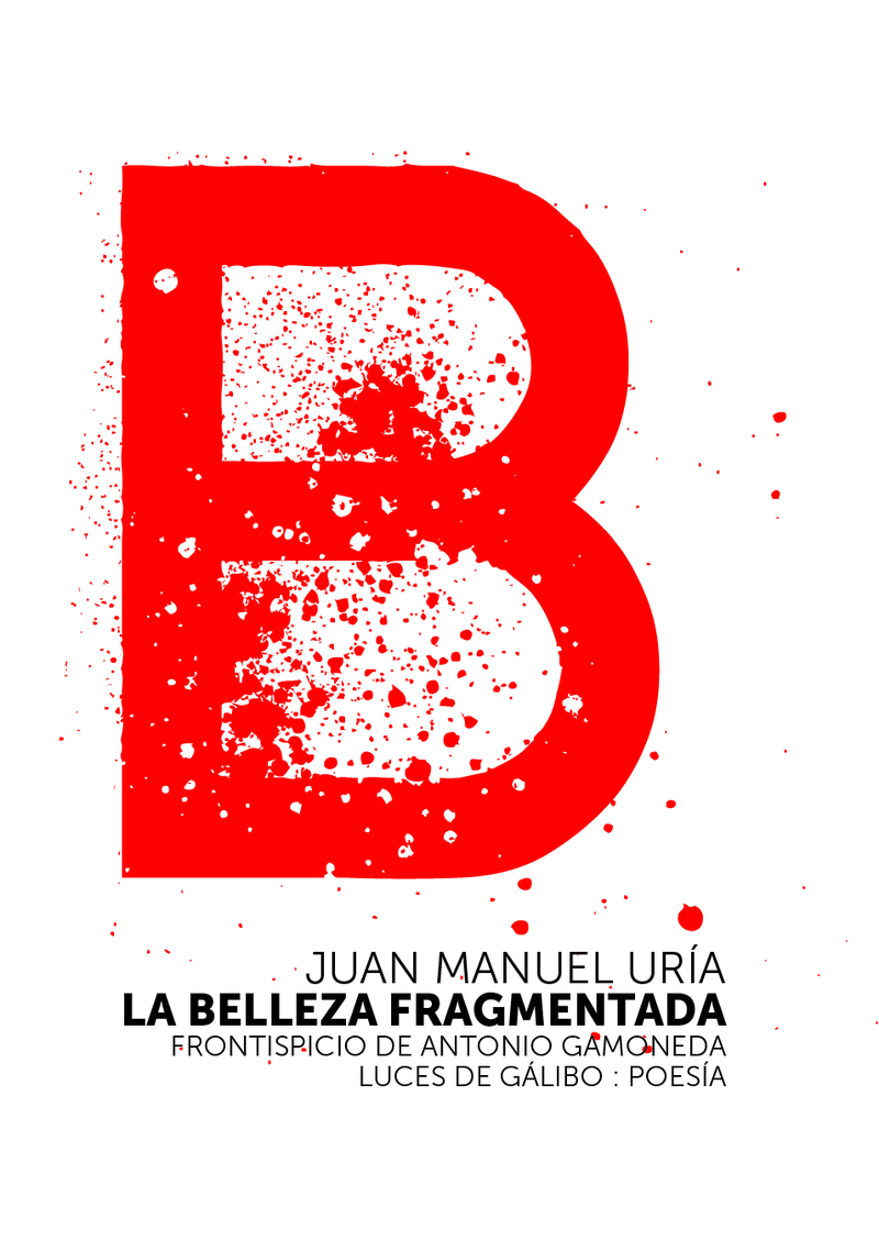 LA BELLEZA FRAGMENTADA: portada