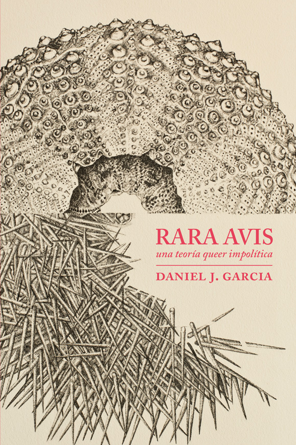 Rara avis: portada