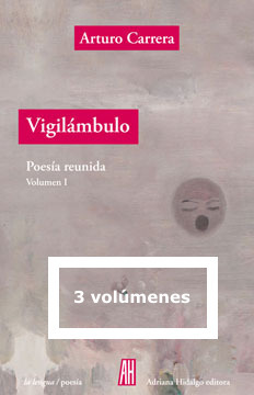VIGILÁMBULO (NE): portada